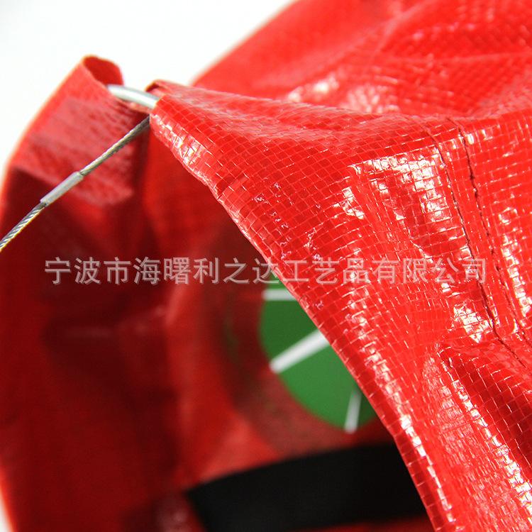 4446995870_1957707933