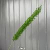 Plantas Verdes Artificiais para Casamento, Grama Aspargo Verde Estilo Floresta, Flores Artificiais Verdes, Materiais Florais Artificiais para Casamento, Série de Decoração para Salão de Casamento