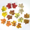 Hojas de Arce Artificiales, Hojas de Arce de Dos Puntas, Hojas de Otoño, Hojas de Colores, Decoración de Fondo, Hojas de Accesorio, Tipo de Pie