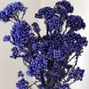 Flores preservadas, flores de mijo, flores de arroz flor eterna, hierba de mijo, arreglos florales de decoración para el hogar DIY, flores Xiduo