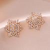 Aretes para Mujer Estilo Japonés-Coreano Transfronterizo Zircón Copo de Nieve Doble Capa Aretes Nicho Sencillos Elegantes Moda Aretes para Mujer