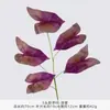 5 hojas de taro artificiales de colores, plantas verdes artificiales, follaje artificial para paisajismo exterior, decoración del hogar, materiales florales para bodas al por mayor
