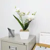 Nuevo Macetero Cuadrado de Piedra Blanca con 2 Tenedores y 5 Orquídeas Mariposa, Planta en Maceta para Decoración de Sala de Estar Balcón en Casa, Bonsái de Flor Artificial