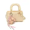 Bolso de Bufanda de Seda para Mujer, Bolso Estilo Nuevo Princesa Diana, Elegante Bolso Cruzado para Salir, Bolso de Mano, Bolso de Hombro, Bolso de Mujer de Alto Valor Lujo Ligero