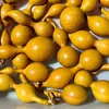 Calabazas Suaves Bellamente Elaboradas para Manipular y Coleccionar, Calabazas de Piel Morada con Pátina, Calabazas Retorcidas a Mano, Artículos de Mano, Calabazas para Vendedores Ambulantes al por Mayor
