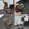 Produto novo transfronteiriço Estatueta de Dachshund Decoração de Casa Ornamento de cachorro Dachshund impresso em 3D