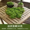 Grama de Musgo Biónica Artificial Musgo Falso Micro Paisagismo Decoração Gramado Bonsai Plantado em Vaso Pavimentação Paisagismo