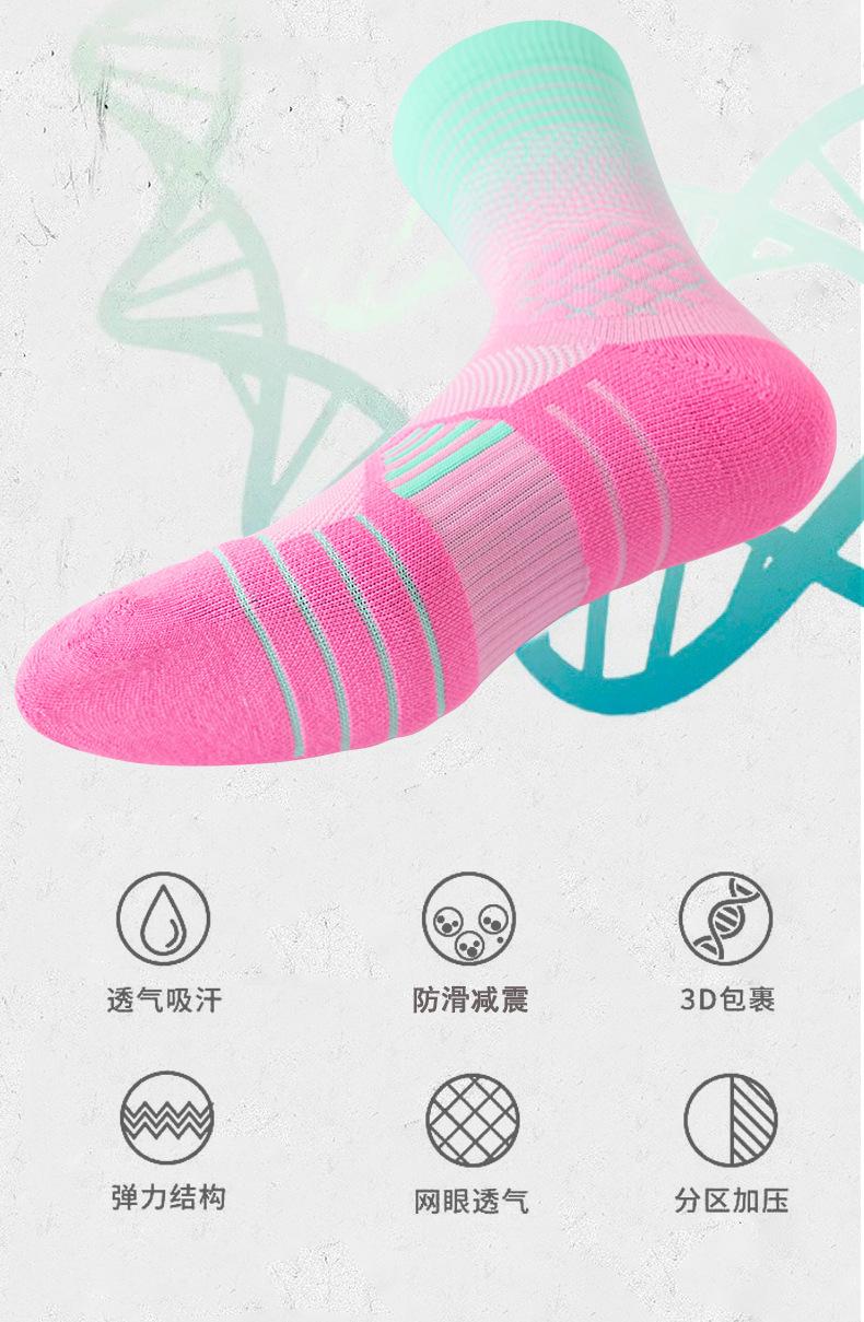 未标题-1_12.jpg