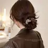 Lazo para el Cabello con Estampado de Leopardo Estilo Coreano para Mujer, Cuerda Elástica de Alto Nivel para Moño, Lazo para Cola de Caballo, Accesorio para el Cabello de Goma
