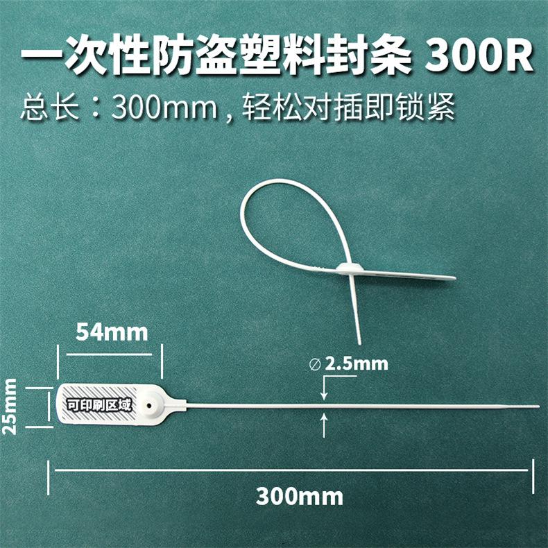 300R 副本 790.JPG