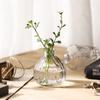 Estilo Ins Florero de Vidrio Transparente Creativo para el Hogar Interior Flores y Plantas Hidropónicas Decoración de Escritorio Venta al por Mayor