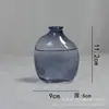 Jarrón de Vidrio de Sodio-Calcio Transfronterizo al por Mayor, Jarrón de Vidrio de Lujo Colorido para Sala de Estar, Adecuado para Arreglos Florales Hidropónicos y Decoraciones con Flores Frescas