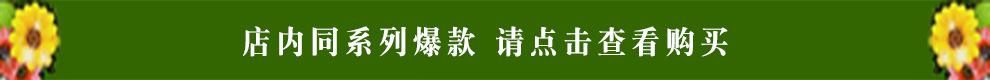 店内爆款(1)