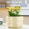 Uma geração de vaso de flor de cerâmica para atacado especial grande com prato simples branco para casa Phalaenopsis vaso de flor suculenta