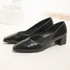 Zapatos de tacón de bloque estilo francés para mujer, Nuevos zapatos de noche estilo hada para Primavera y Otoño 2025, Zapatos elegantes de tacón medio para el trabajo