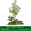 Série Paisagem de Expressão Idiomática de Quatro CaracteresCombinação de Plantas Verdes Artificiais para Paisagismo Decoração de Vitrine Interna