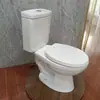 Inodoro de Sifón Tipo Split Económico y de Bajo Costo para Exportación, con Drenaje al Piso, Distancia entre Ejes de 250-300 mm, Empaque Sencillo, Descarga Única