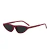 Gafas de Sol Triangulares Ojo de Gato para Mujer Sentido de Alta Gama Personalidad Montura Pequeña Gafas Transfronterizas Moda Populares en Internet Fotografía Callejera Gafas de Sol Nuevas