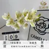 Novo Modelo Flores Artificiais de Orquídea Phalaenopsis em EVA para Decoração de Sala de Estar em Casa, Decoração Floral de Fundo para Hotel Atacado