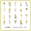 Serie Museo Natural Yuezhen Paquete de Pegatinas Pegatinas Vintage para Diario Infantil Pegatinas de Flor y Mariposa PET
