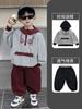9734 Conjunto de Sudadera con Capucha de Otoño para Niños 2026 Nuevo Elegante Conjunto de Dos Piezas de Otoño para Niños Ropa de Moda para Niños