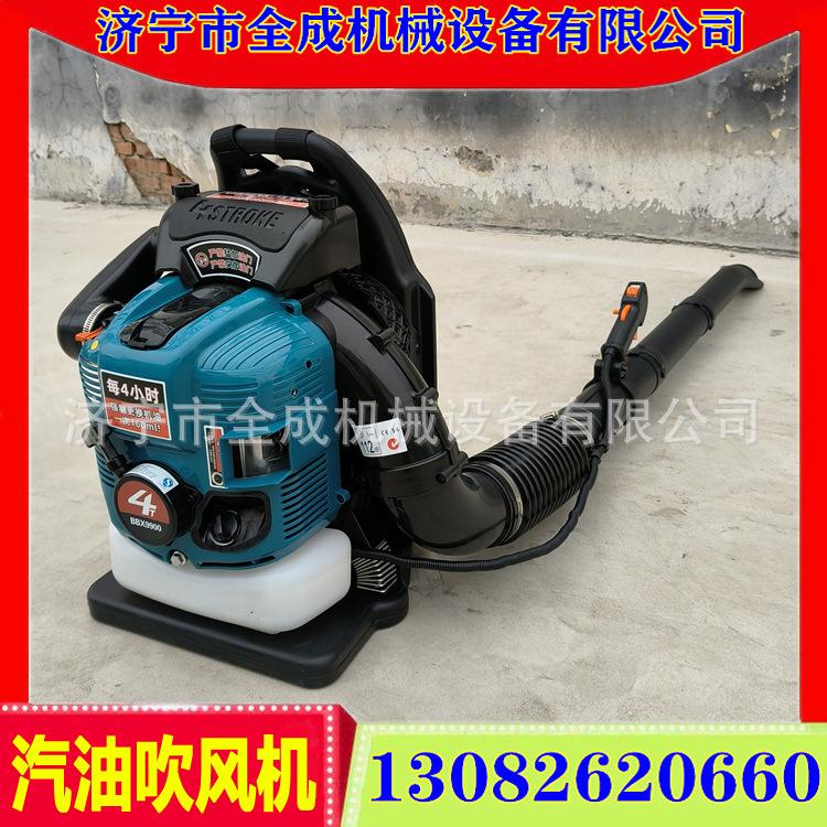 9900 (8).jpg