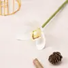 Flores Artificiales Plantas Verdes Flores de Seda Flores de Simulación Phalaenopsis Individual Arreglo Floral para Sala de Té China Accesorios para Disparos Decoración Flores Decorativas