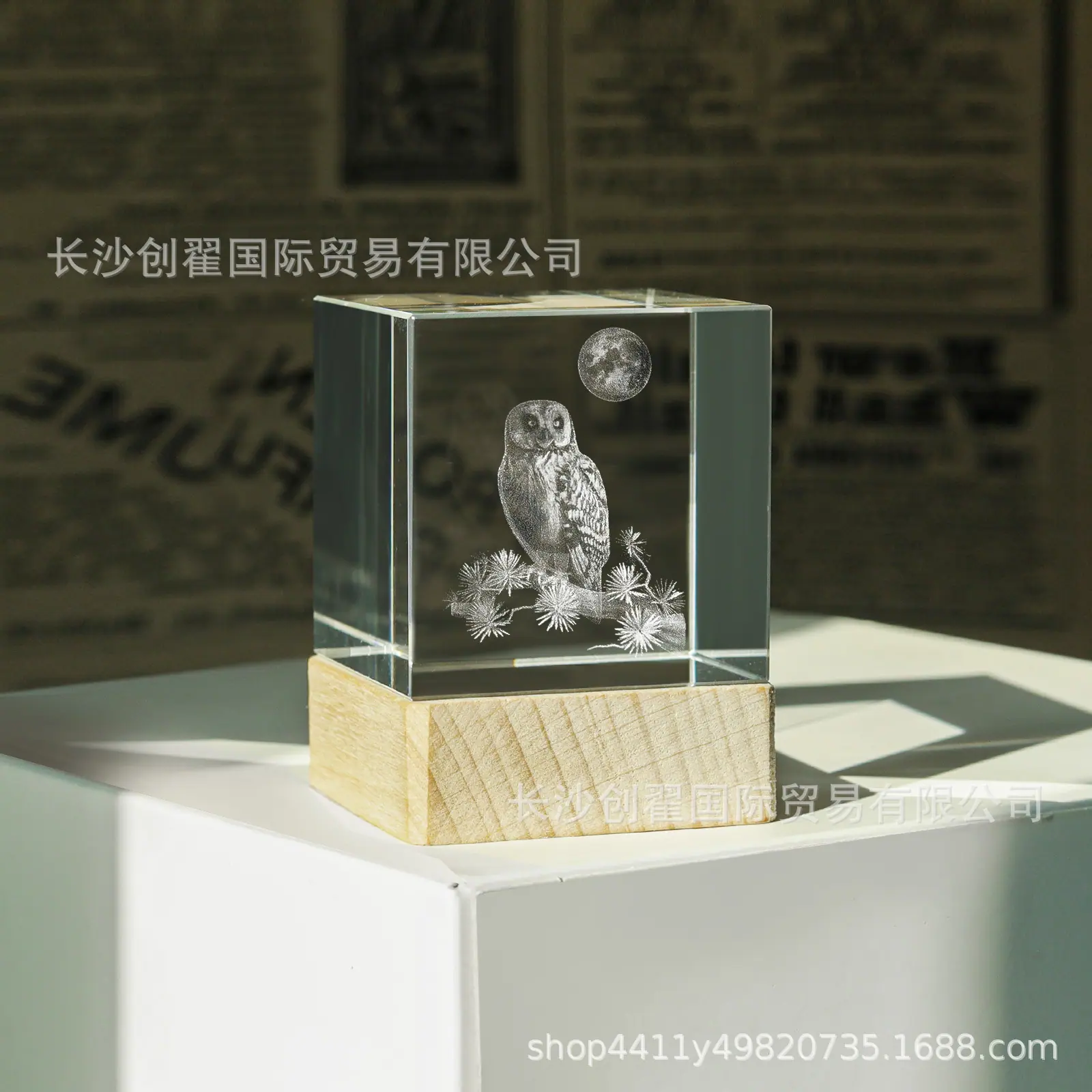 猫头鹰_07.jpg