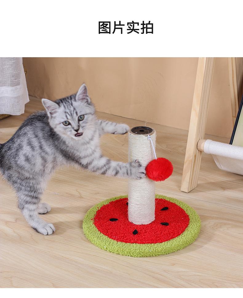 -_08.jpg