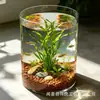 Tanque de peces de vidrio transparente recto de gran diámetro, jarrón de micro paisajismo, cubo de flores, jarrón de flores, adorno decorativo de boca ancha