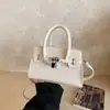 Bolsa Pequeña de Venta Caliente Transfronteriza Otoño/Invierno para Mujer 2026 Nuevo Estilo Moda Versátil Bolso Cruzado Bolso de Mano para el Trabajo Bolso Platino