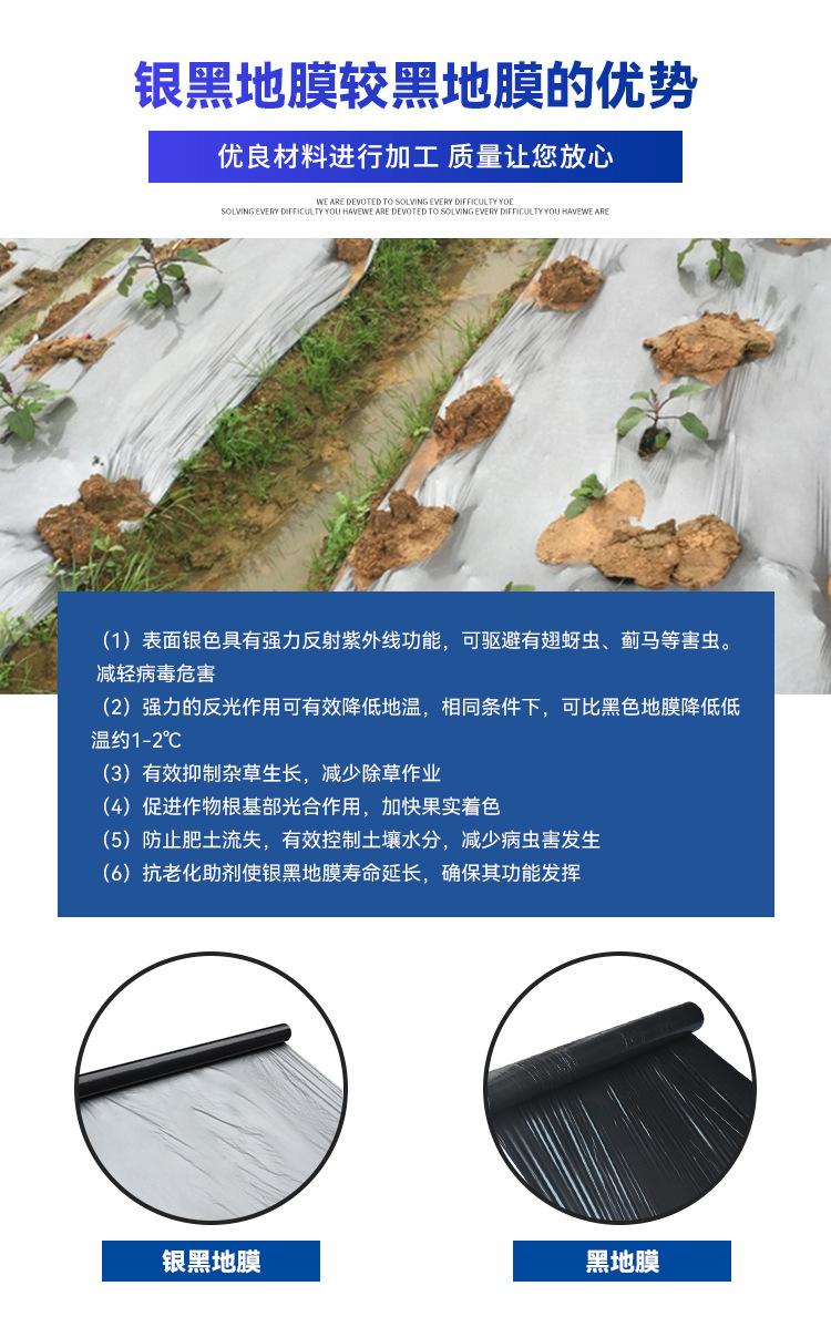 未标题-1_12.jpg
