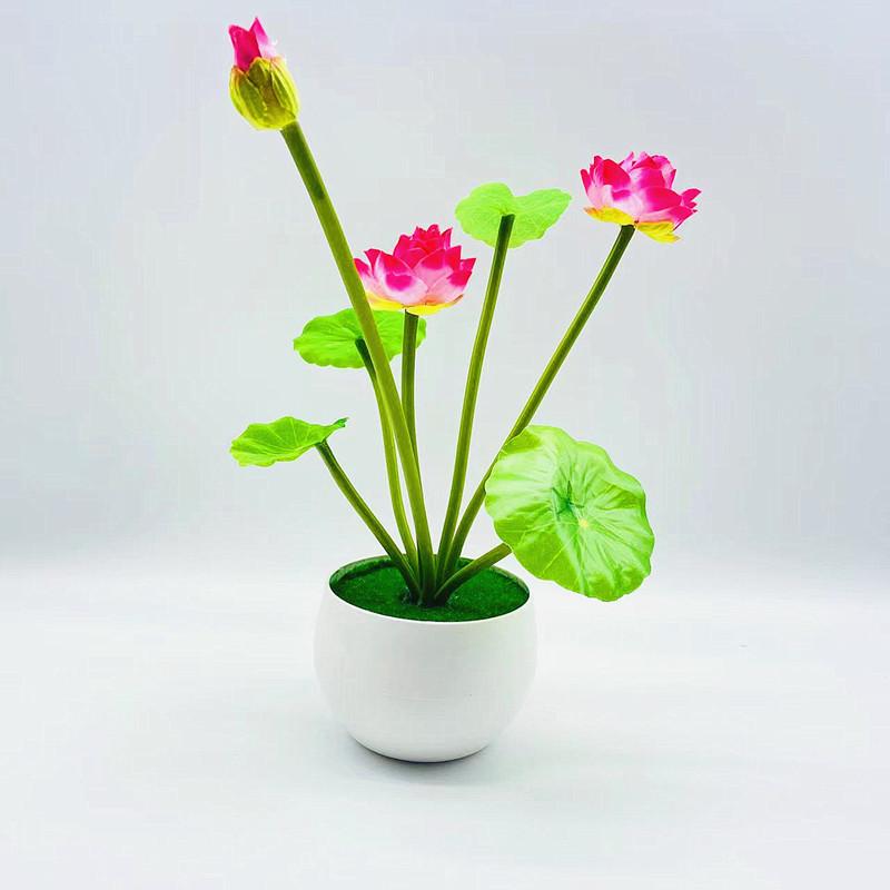 微信图片_20220626083705_副本