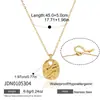 Colar Jieding em aço titânio, pulseira de estilo nicho de luxo leve, brincos de aço inoxidável com fecho martelado de nariz de porco em zircônia, design original transfronteiriço