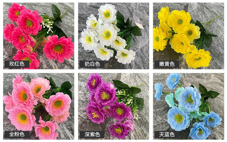 产品颜色.jpg