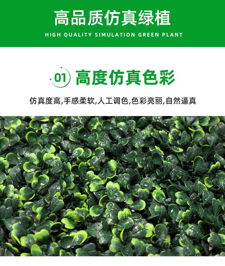 AG004新详情_03.jpg