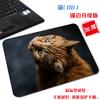 [Una generación de cabello] pequeño lindo gato tela antideslizante tapete para computadora arte estético simple borde bloqueado alfombrilla de ratón