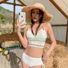 Novo Biquíni Coreia do Sul Reunião para Seios Pequenos Cobertura da Barriga Emagrecimento Estilo Ins Fonte Termal Dividido Feminino Piscina de Fonte Termal