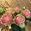 Hacker Queen Jugo Rosa Maceta Balcón Patio Villa Flor Planta Cuatro Estaciones Dropshipping