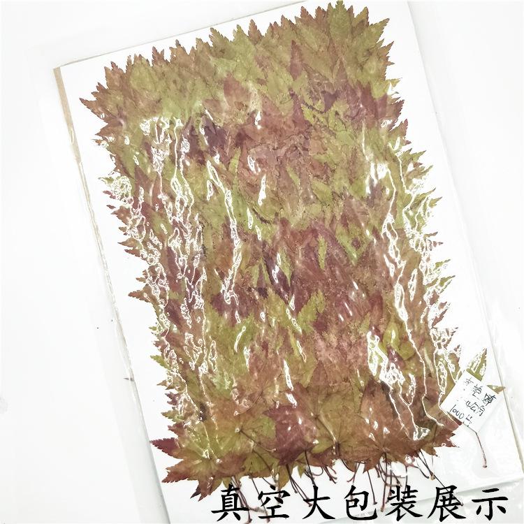 IMG20190111171835