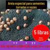 5IJO5kg açúcar castanha assada areia amendoim sementes de melão redondo cerâmica sólida quartzo preto castanha assada areia