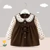 Babero de bebé, vestido de princesa de manga larga para otoño/invierno, babero de alimentación impermeable y resistente a las manchas, delantal protector para bebés