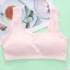 Etapa de Desarrollo Ropa Interior para Niñas Ropa Interior Deportiva de Algodón Puro Estudiante Estudiante de Secundaria Bustier Top Tubo Ropa Interior para Niña Grande Chaleco para Mujer