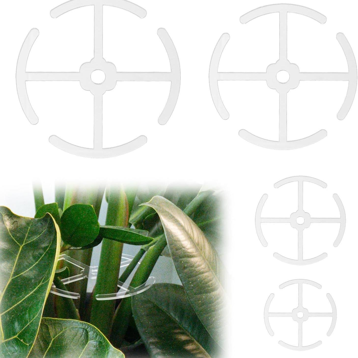 2024-09-11 15:12:16.jpg