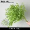 Plantas Verdes, Hierba de Junco, Hierba Bigote de Dragón, Fondo de Boda, Paisajismo de Ventana Floral, Flores Decorativas para Boda en Bosque Blanco y Verde