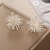 Explosiones Aguja Plateada Zircón Aretes de Fuegos Artificiales Sentido Avanzado Nicho Sexo Estilo Frío Metálicos Geométricos Aretes Temperamento Versátil
