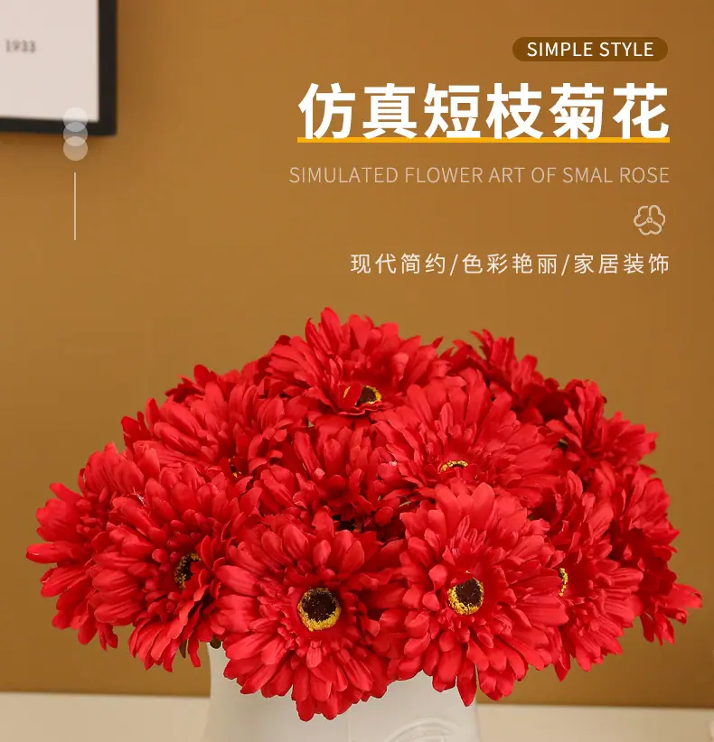 短枝菊-花_01.jpg