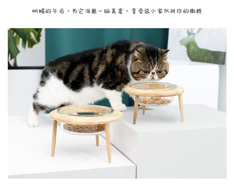 玻璃飞碟猫碗_13.jpg