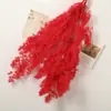 Flores Secas de Pinheiro Eterno Buquê de Flores Eternas Decoração de Casa Flores Buquê Feito à Mão Material DIY Suprimentos para Floricultura