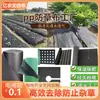 Tela No Tejida Spunbond de Venta Caliente Transfronteriza para Cubiertas de Jardinería y Huertos, Permeable al Agua, Transpirable, Tela Biodegradable para Control de Malezas, Directo del Fabricante